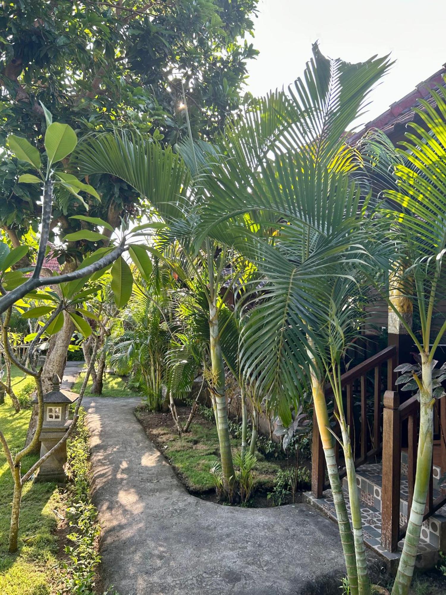 Island Garden Huts Lembongan Panzió Kültér fotó