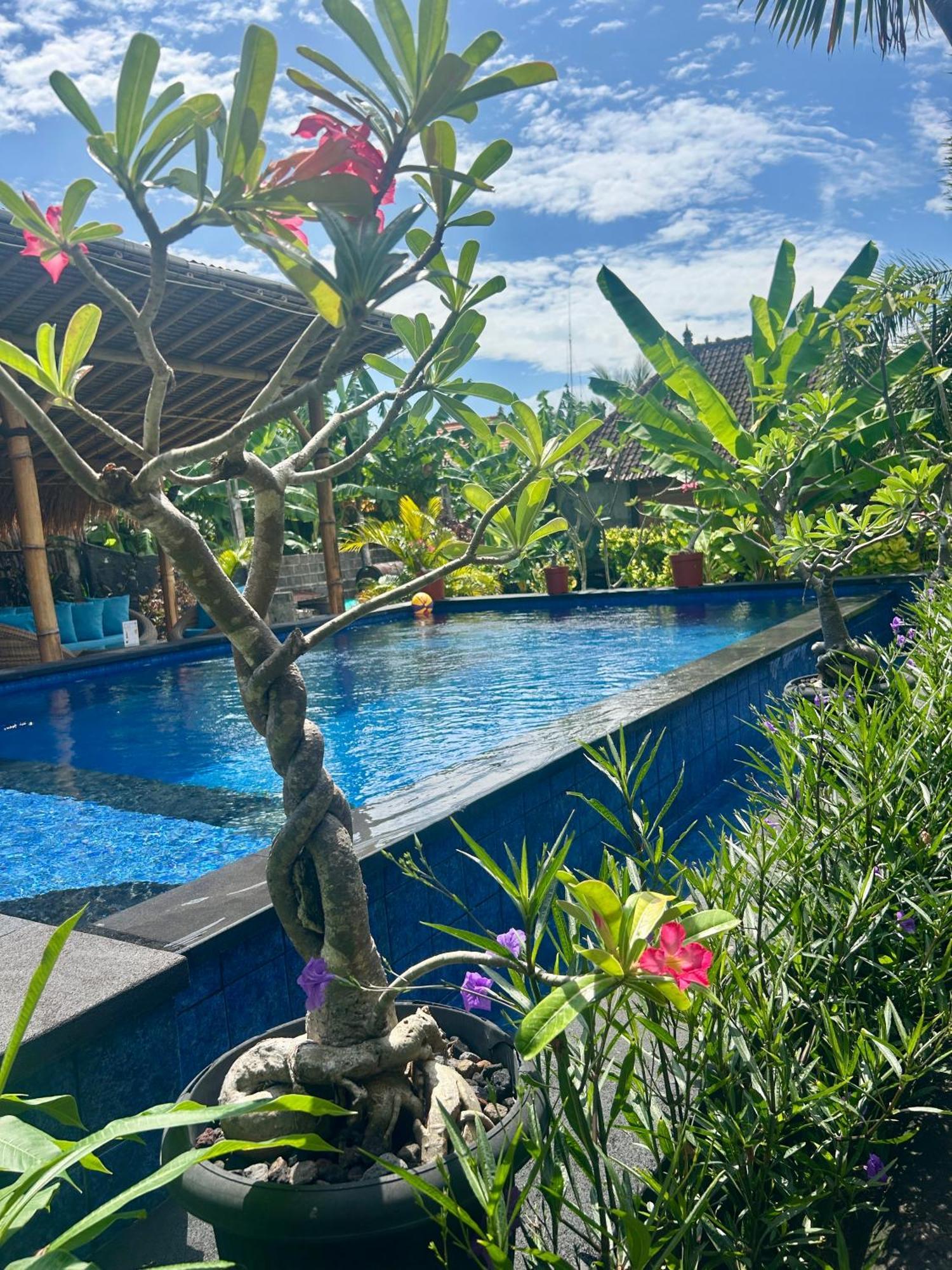 Island Garden Huts Lembongan Panzió Kültér fotó